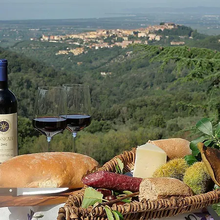 Podere Bagnoli Castagneto Carducci