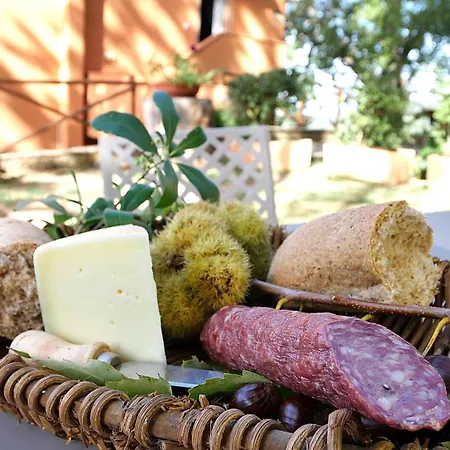 Podere Bagnoli Lejlighedshotel Castagneto Carducci