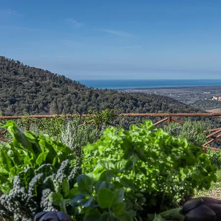 Podere Bagnoli Aparthotel